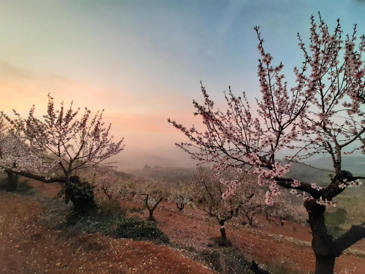 Atico Rural 