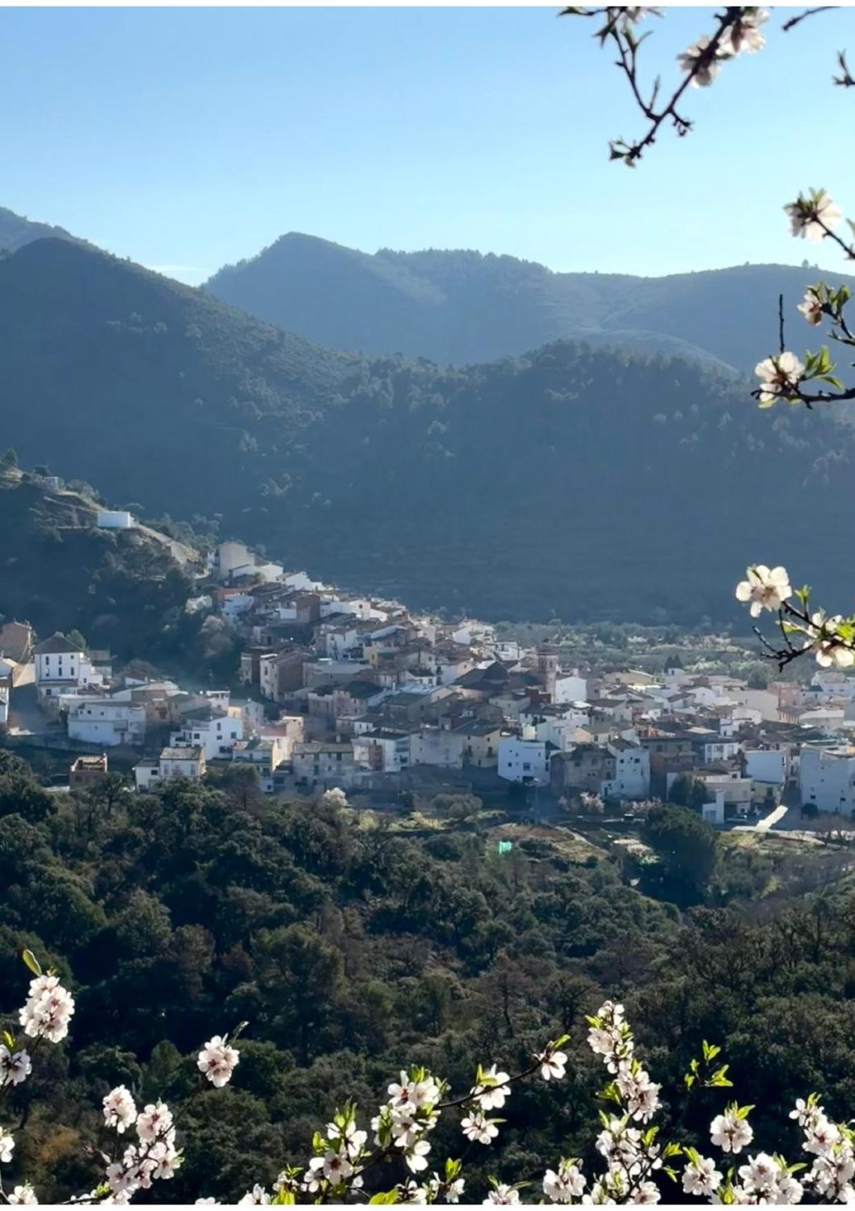 Atico Rural 